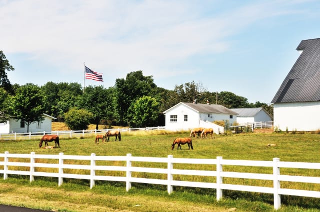 Farms and Ranches