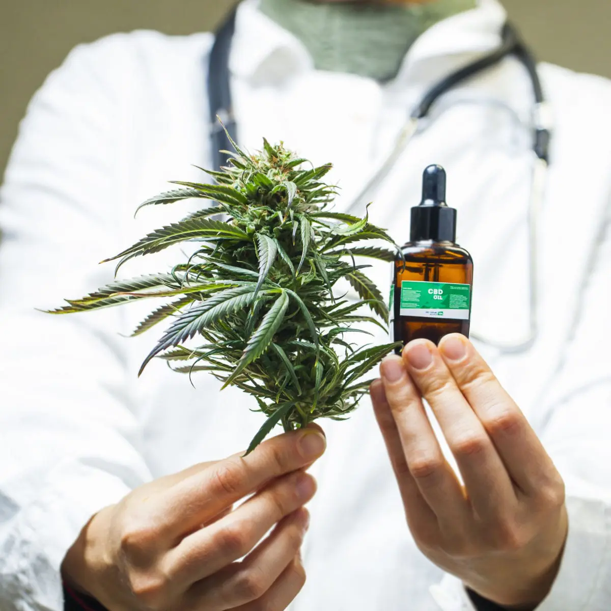 Doctor in a white coat holding cannabis extract for weed storage