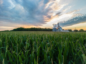 Farms