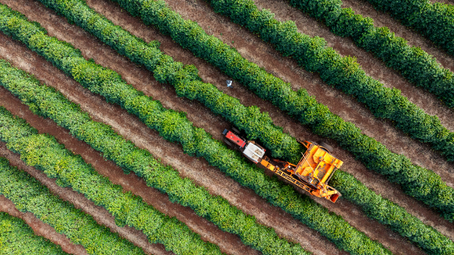 Farms